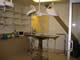 clinic 1